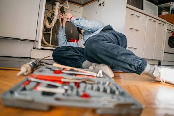 Best Best Plumbers Near Me  in Manito, IL