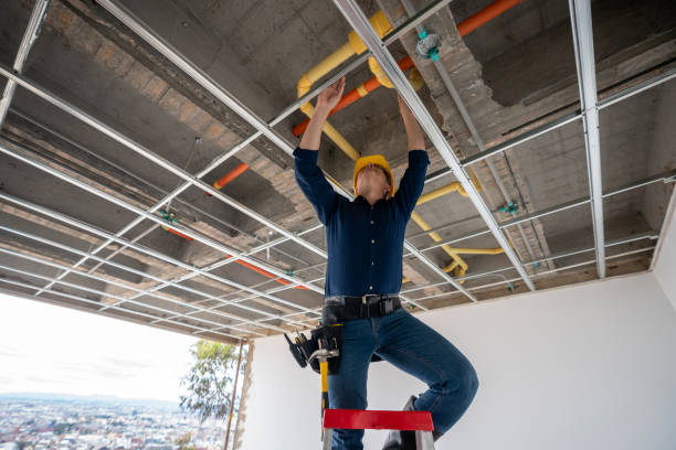 Best Local Plumber Services  in Manito, IL