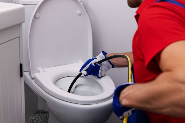Best Clogged Drain Plumber  in Manito, IL