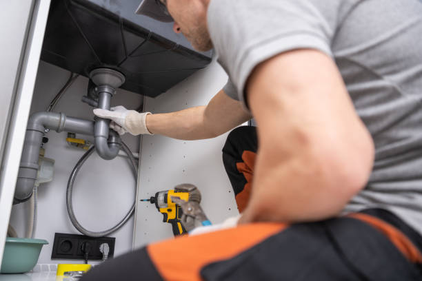Best Plumbing Services Near Me  in Manito, IL